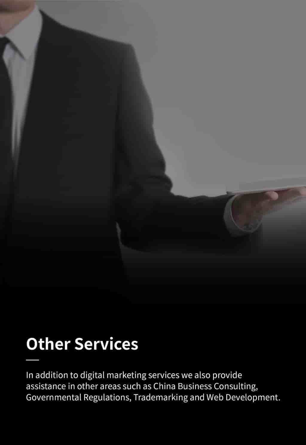 Other Chinese Marketing Services